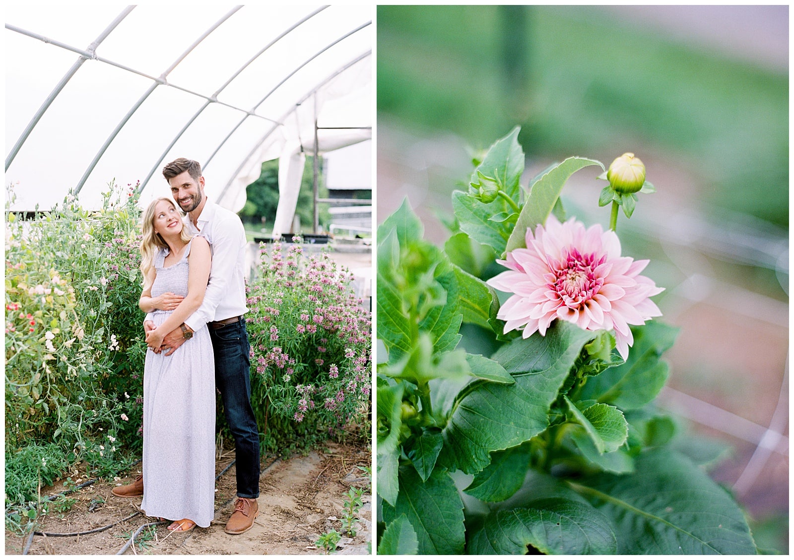 Wildflower Farm