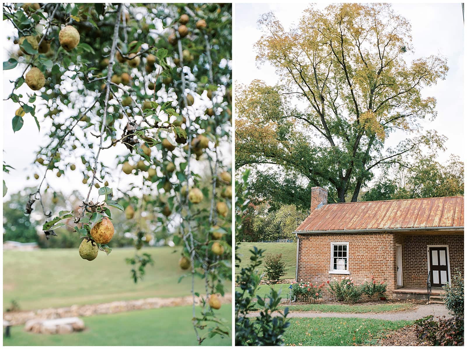 Cherokee-Creek-Farm-Wedding-2020-Danielle-Defayette-Photography_0016.jpg
