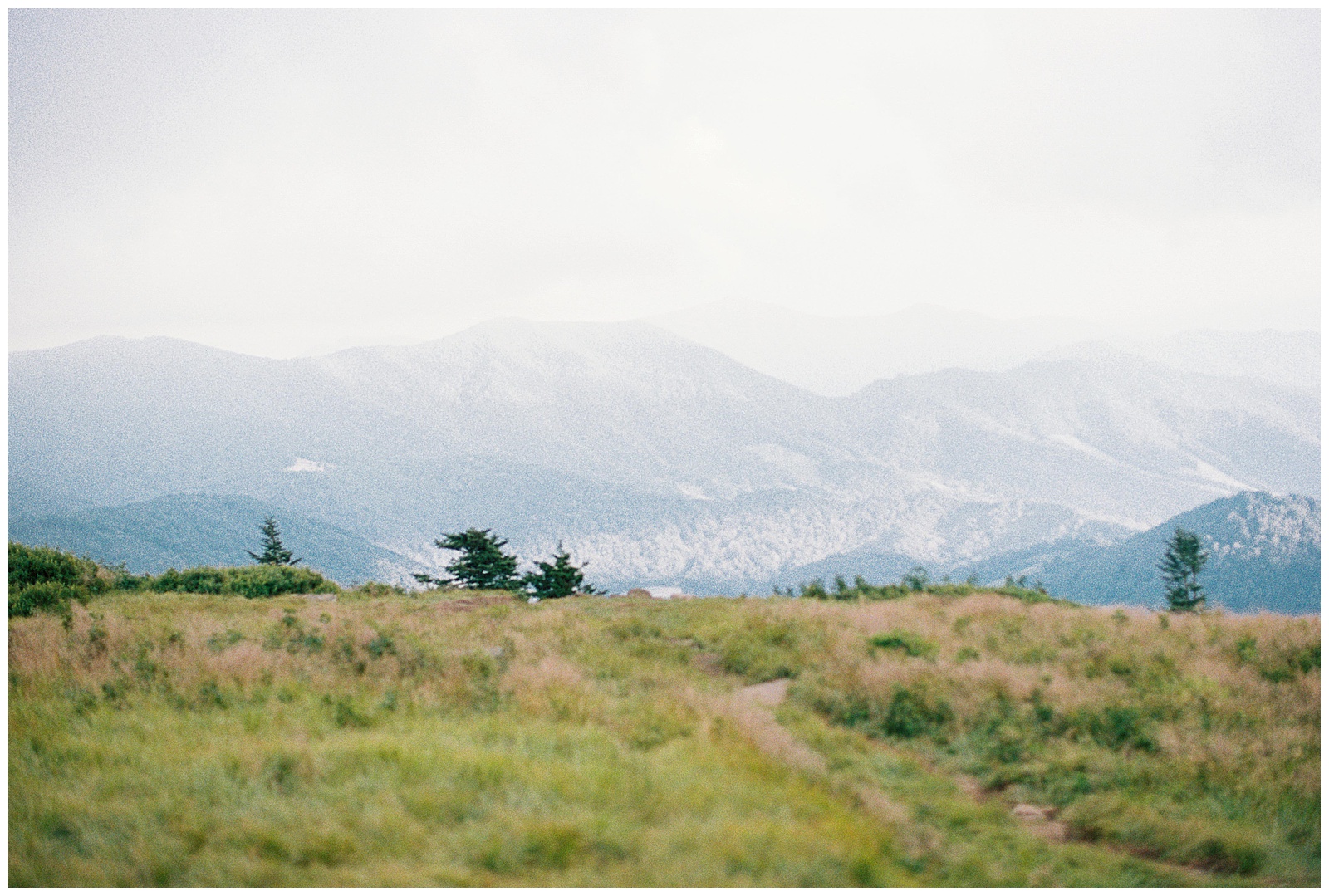 Blue-Ridge-Mountain-Elopement-Asheville-Danielle-Defayette-Photography_0009.jpg