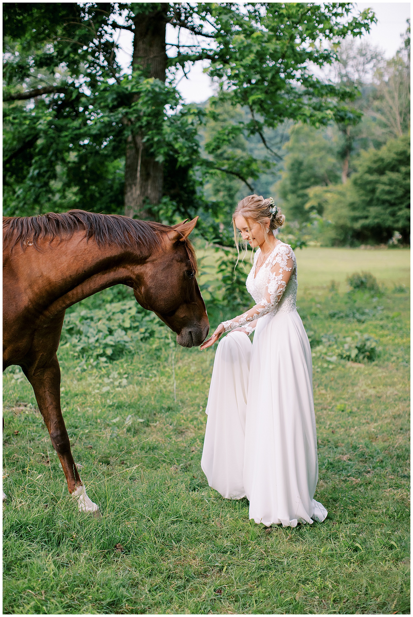 Horse-Wedding-Photos-Danielle-Defayette-Photography_0001.jpg